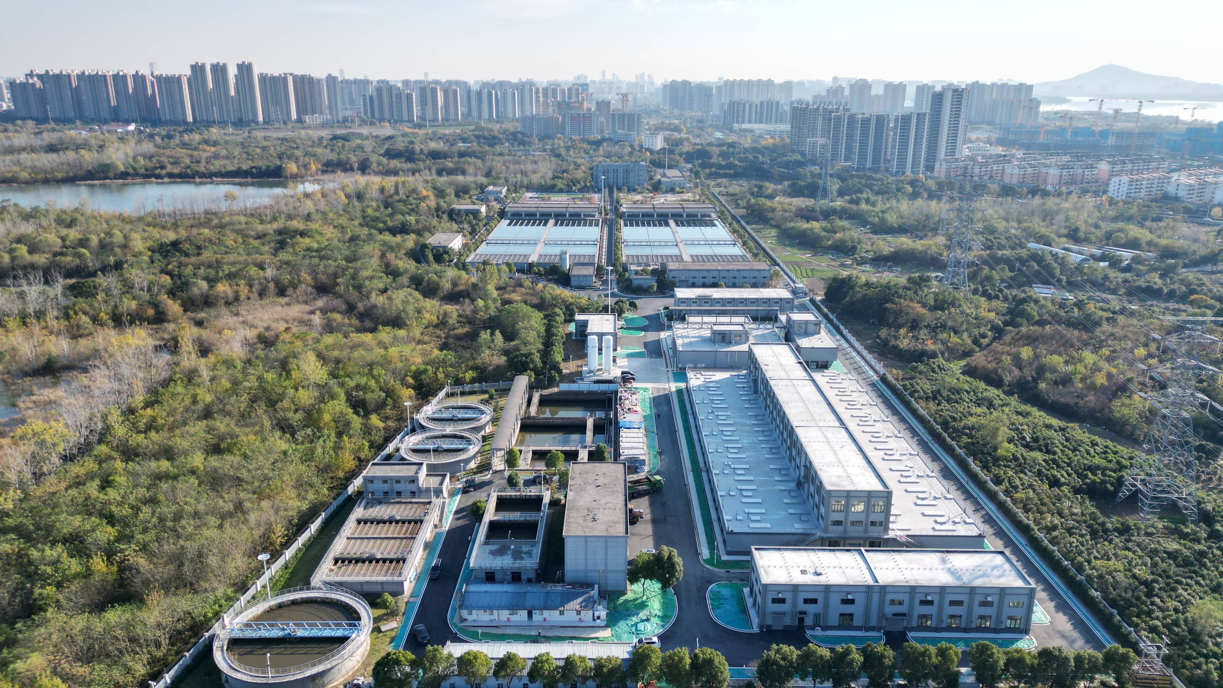 南宁市合肥专业企业价值增长(合肥市重点企业产业目录)