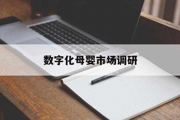 南宁市数字化母婴市场调研(数字化母婴市场调研报告)