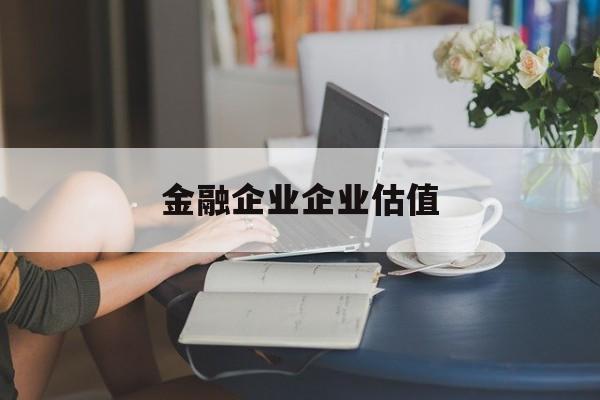 南宁市金融企业企业估值(最新企业估值怎么填)